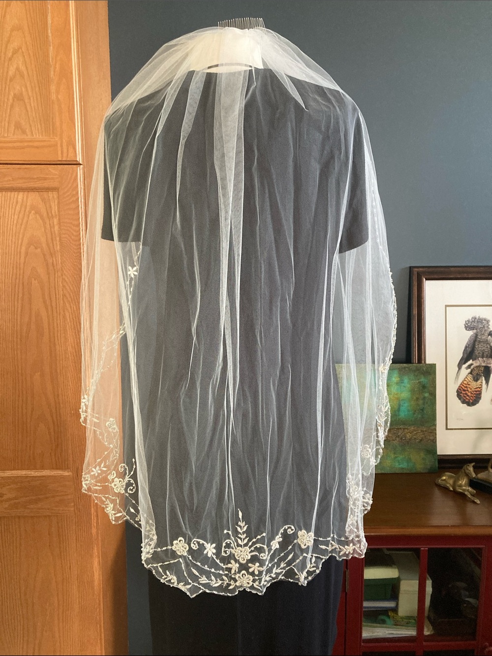 White or Ivory Beaded or Lace-Edge Fingertip Veil with Decorative Hem 37/40” L